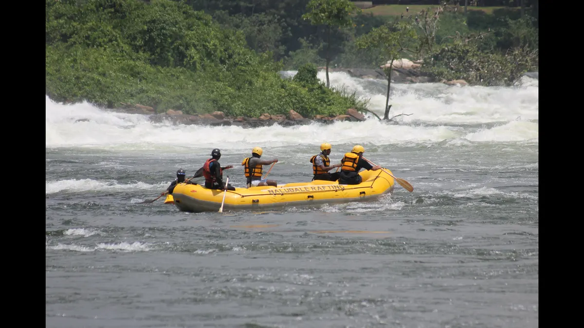 White water rafting crew paddling through powerful Nile rapids near Jinja, Uganda, surrounded by green riverbanks