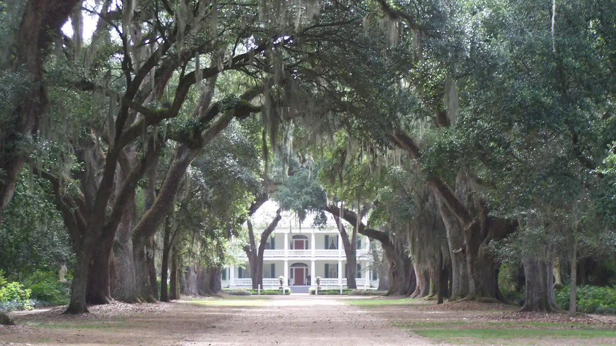 Rosedown Plantation house in St. Francisville, Louisiana, seen from the end of its long oak allée