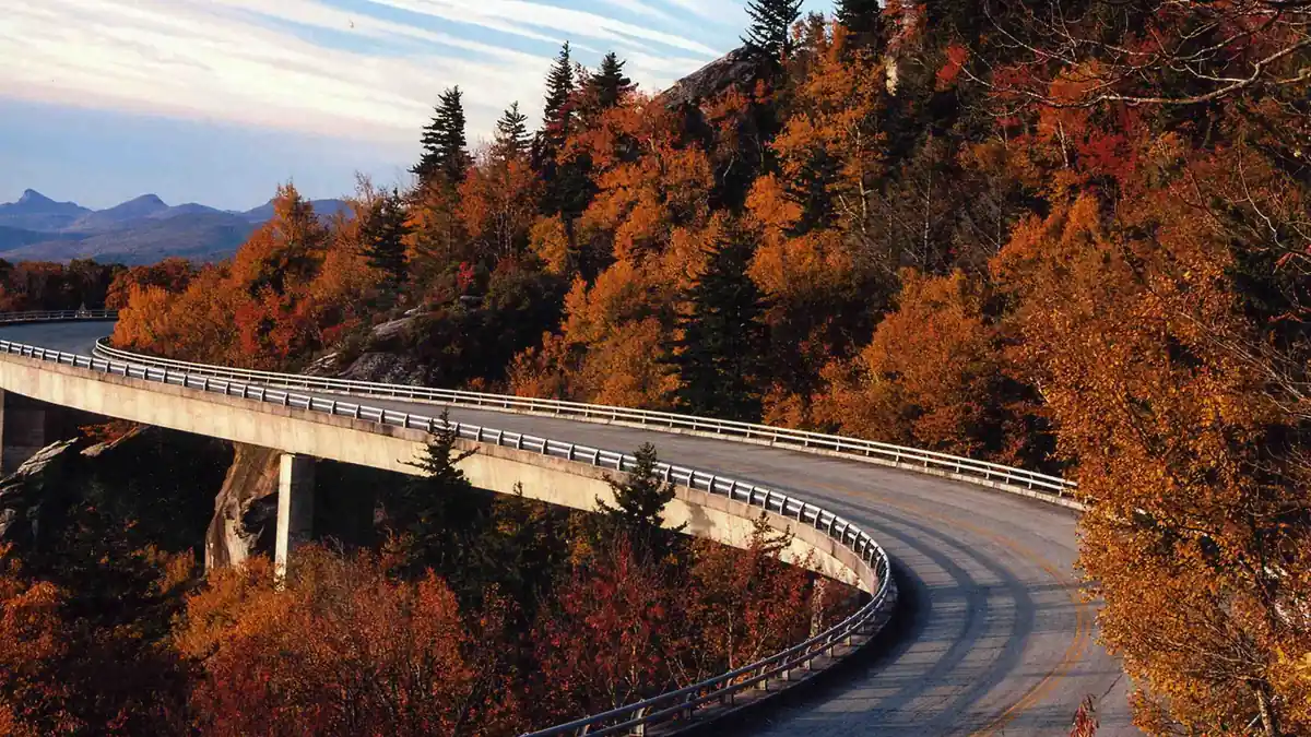 Linn Cove Viaduct curving around Grandfather Mountain in autumn, with red, orange and gold fall foliage covering the Blue Ridge slope below