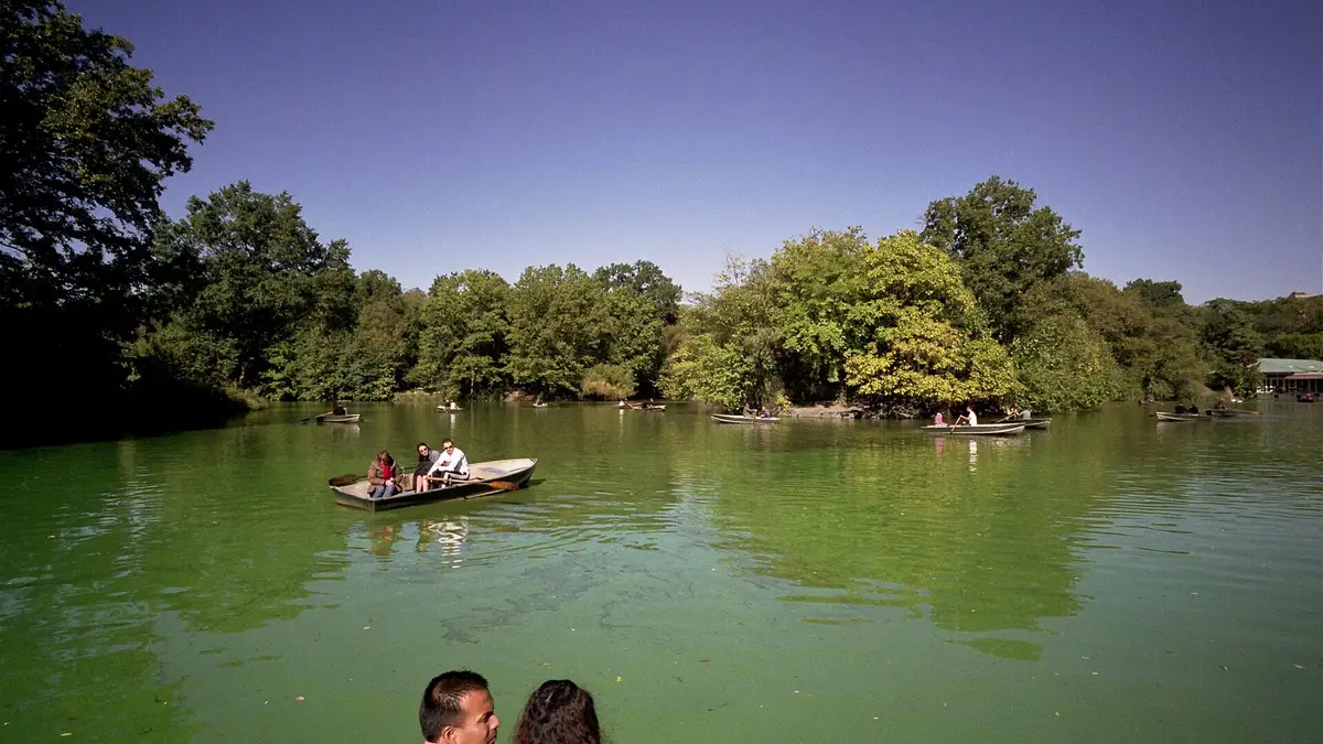 Families enjoying rowboats on the lake in Central Park, New York City, with green trees and the Manhattan skyline behind