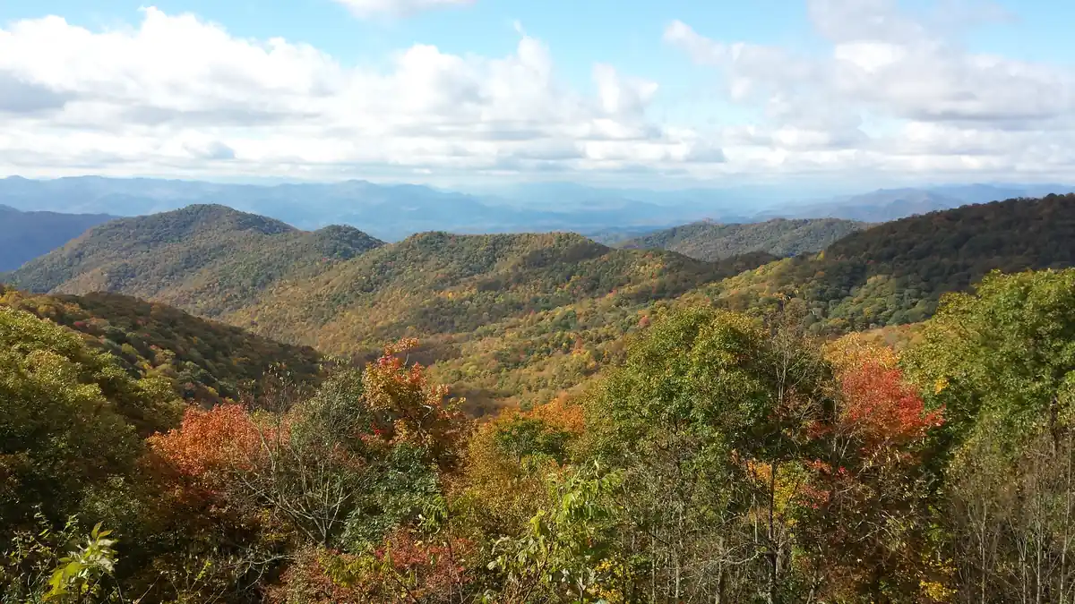 Autumn colour along the Blue Ridge Parkway in North Carolina, with red, orange and gold fall foliage covering the rolling mountain ridges