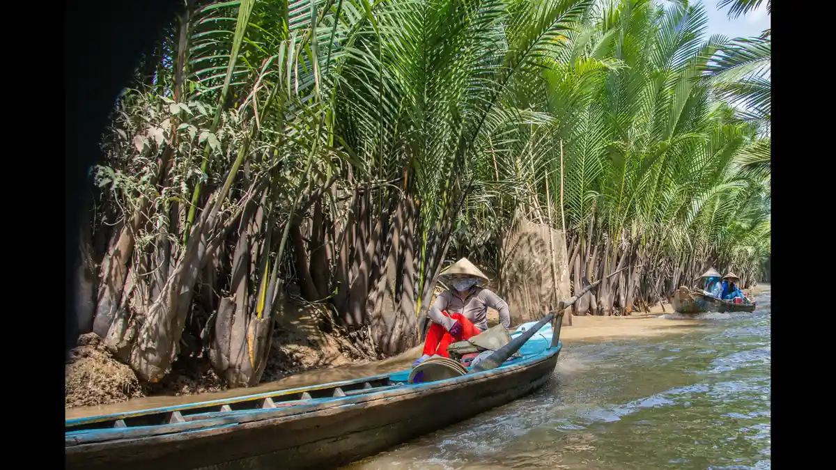 Hand-rowed boat on a palm-shaded canal in My Tho in the Mekong Delta near Ho Chi Minh City