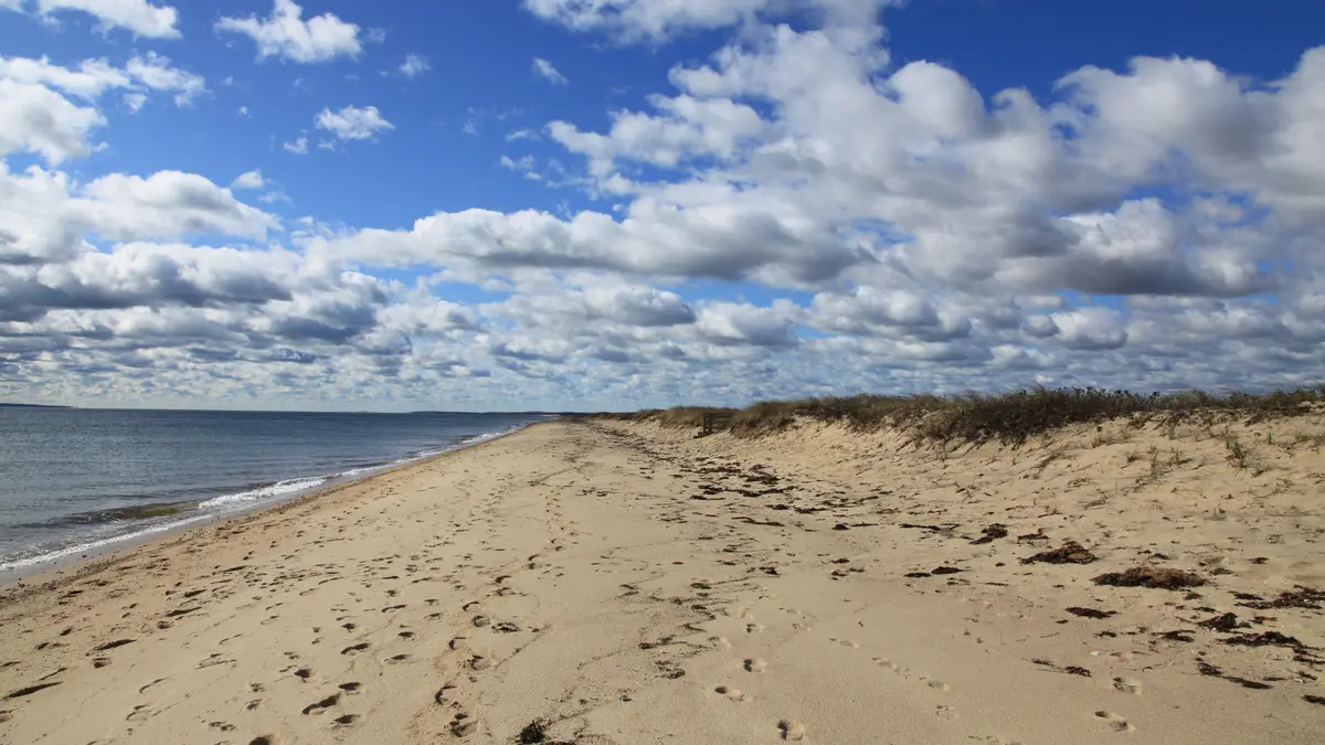 South Cape Beach in Mashpee near Popponesset, with calm Nantucket Sound water and a wide sandy shoreline under a clear sky